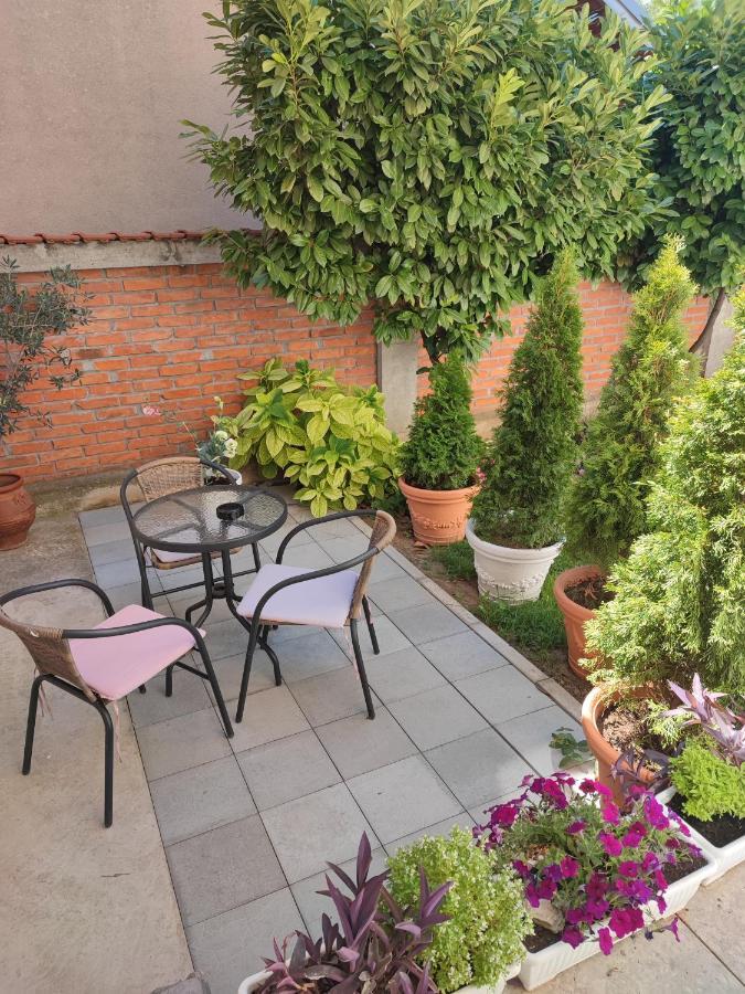 Flora Apartment Surčin 外观 照片